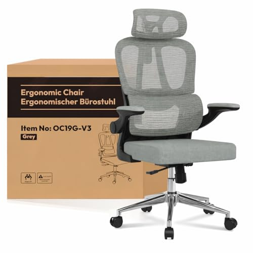 FLEXISPOT Ergonomischer Bürostuhl, Schreibtischstuhl mit 2D-Kopfstütze, Klappbare Armlehnen & Dynamische Lendenstütze, Stuhl mit 120° Wippfunktion für Homeoffice, Arbeitszimmer, Büro (Grau)