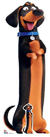 STAR CUTOUTS-Rooster SC1376 Buddy-Figura de perro salchicha – Recorte de cartón de la vida secreta de mascotas – Perfecto para cumpleaños, fiestas y regalos, sólido, color, normal