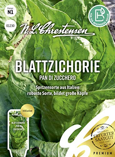 Blattzichorie Pan di zucchero, Spitzensorte aus Italien, Samen