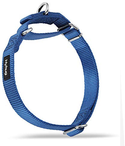 Hyhug Martingal Hundehalsband mit Schnalle: Ausbruchsicher, rutschfestes Robustes Polyester, farbechtes verstellbares Haustierzubehör für mittelgroße Hunderassen (Mittel, Klassisches Blau)