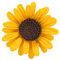 ZJchao Broche Tournesol, Élégant Alliage Femmes Épinglette Vêtements Collocation Accessoires pour Sac à Dos Costume