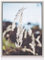rahmengalerie24 Schattenfugenrahmen 42x59,4 cm (DIN A2) alu für Leinwand Bilderrahmen Keilrahmen für Leinwände aus Holz MDF