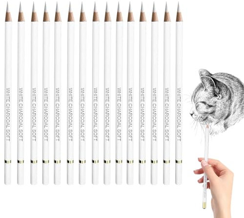 White Charcoal Pencil, 15 PCS White Pencils, Highlight Sketch Pencils, Fine Liner Art Pen for Artist Beginner Student Drawing Sketching Blending Drawing