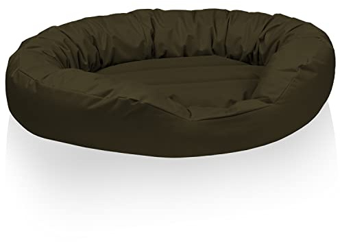 BedDog® Hundebett Sunny, großes Hundekörbchen aus Cordura, waschbares Hundebett mit Rand, Hundekissen oval, Größe L, Green-Tea, grün