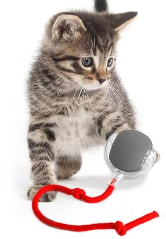 KQLHLHDYZ Giocattolo Interattivo per Gatti da Interno - Intelligente con Sensore di Movimento Smart per Gatti Adulti