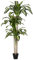 VeriNatural Künstlicher Drachenbaum 150cm - Künstliche Pflanzen wie echt, große Deko Kunstpflanzen mit UV-Schutz – Fake Pflanze, Kunstbaum für Wohnzimmer, Balkon, Büro, Badezimmer & Garten,VN123