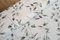 Halbpanama Stoff Meterware Sommer - robuster Taschenstoff bedruckt - schwerer Baumwollstoff Blumen - stabiler Dekostoff Pflanzen - BW Panama *Ab 50cm, Farbe: 033 Eukalyptus
