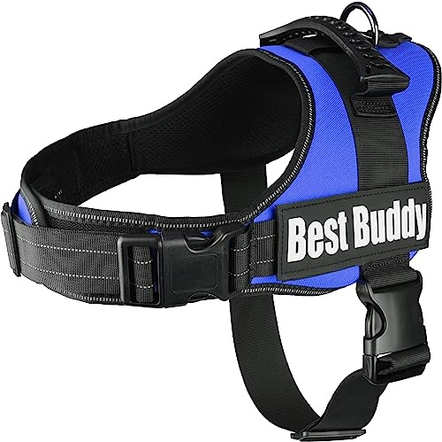 Geschirr Best Buddy Pluto BLAU XL 80-100CM*50MM