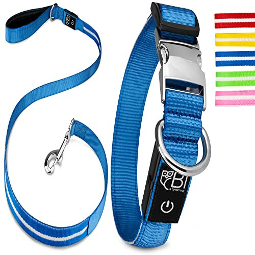 Leuchthalsband & Leuchtleine für Hunde [Das Original] Leuchtendes LED Hundehalsband zum spazieren gehen im Dunkeln Lange Akkulaufzeit Sicher Dank hochwertigem Metallverschluss (Blau, M (38-50 cm))