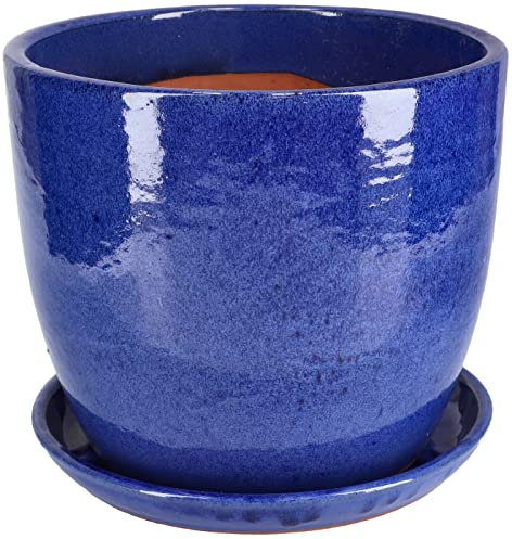 KOTARBAU® Maceta de cerámica esmaltada Ø 31cm, Maceta para Exteriores, Maceta de jardín terraza, Maceta Azul Cobalto, Maceta con Plato, Maceta Redonda, Acabado Brillante, Macetero Decorativo Ceramica