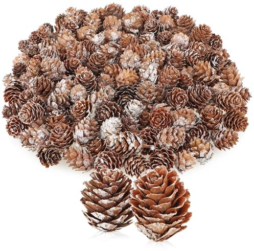 com-four® 200x Dekozapfen Lärche - Streudeko für Herbst und Winter - Zapfendeko - kleine Lärchenzapfen - Tannenzapfen (200x Lärchenzapfen weiß)