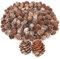 com-four® 200x Dekozapfen Lärche - Streudeko für Herbst und Winter - Zapfendeko - kleine Lärchenzapfen - Tannenzapfen (200x Lärchenzapfen weiß)