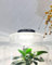 NIPRO - Lampada a LED per terrario piante | Lampada per giardino eterno o vaso di vetro rotondo (140 mm)