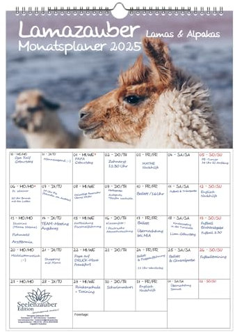 Lamazauber Planer DIN A3 Kalender für 2025 Lama Alpaka - Geschenkset Inhalt: 1x Kalender 1x Weihnachtsanhänger 1x Grußanhänger (gesamt 3 Teile)