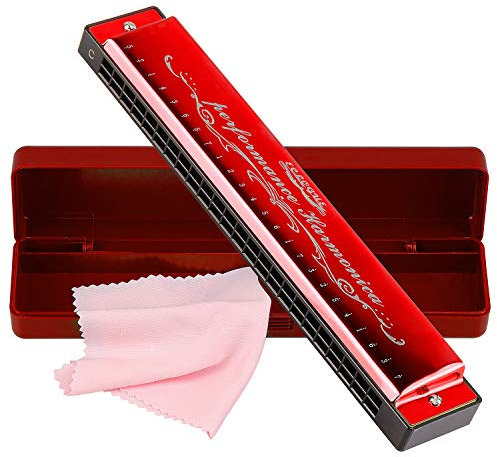 Mundharmonika Professionelle Harfe Armonica Tonart C 24 Loch Polyphonie Diatonische Mundorgel mit Etui für Blues Folk Jazz Pop für Musik Student Lehrer Anfänger Geschenk