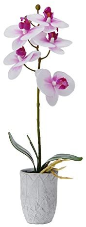 Mikasa Künstliche Orchidee im Topf, fühlt Sich echt an, Phalaenopsis-Orchidee, geprägtes Blatt-Zementtopf, 40,6 cm einzelner Zweig, Weiß/Fuchsia