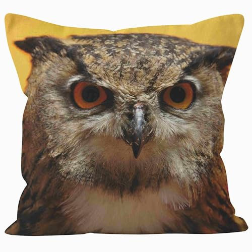 Nimvoya Lin Tapis de Souris 3D Tapis de Clavier One Piece 50x50cm, Rapace Tapis de Souris Personnalisable avec Repose-Poignet Tapis Souris Gamer L 1Pcs