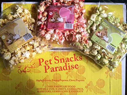 Popcorn Small Animal Treat Assorted Flavours 18g (Pack of 24)