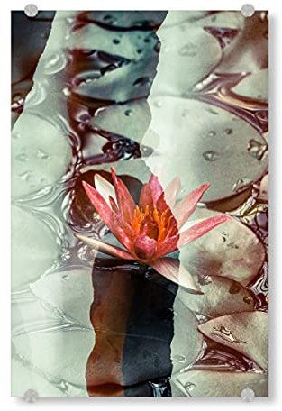 artboxONE Acrylglasbild 150x100 cm Natur Lotus by Tas Bild hinter Acrylglas - Bild Lotus doubleexposure floral