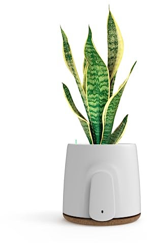 VITESY NATEDE BASIC Air Purifier Without Filters to Change | -99% of Bacteria, Microbes, Mold, VOCs and Viruses | Capture Ambient Odors | Sustainable and MADE IN ITALY