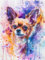 Chihuahua Malen Nach Zahlen Erwachsene, Hund Malen Nach Zahlen Klein 20x30cm, DIY Handgemalt Ölgemälde Kit für Anfänger Bastelset Erwachsene, Acrylfarben Set Wand Deko Bilder Ohne Rahmen, Geschenk