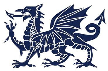 Wales Dragon Semi Permanent Tattoo Waterproof Lasts 1-2 weeks welsh Dragon