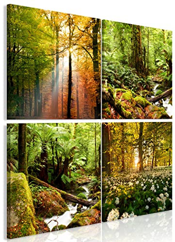 murando - Wandbilder Waldlandschaften 80x80 cm 4 Teilig je 40x40 Vlies Leinwandbild Kunstdruck modern Wanbilder XXL Wanddekoration Design Wand Bild - Wald Natur Bäume Bach Sonnenstrahlen