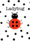 Ladybug: A notebook, journal or diary.
