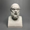 Statua di Socrate Busto Collezione di Socrates Testa di Filosofo Greco in Gesso Mitologia Scultura per Soggiorno Casa Mensola Decorazione Moderna