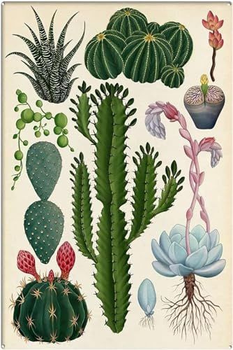 Metall-Blechschilder, lustiges Kaktusblumen-Wüstenpflanzenschild, Sukkulentenschild, Pflanzenschild, Gärtnergeschenk, Vintage-Wanddekoration, Kaktusdruck, Vintage-Kaktus-Blechschilder für Männerhöhle,