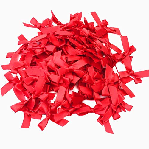 100er Geschenkschleifen,Klein Satinschleife Deko Schleifen für Hochzeit Weihnachten Party Geburtstag Geschenk Scrapbooking Zuckertüten Taufe Streudeko DIY Nähen Haarschmuck Unterwäsche,3x3cm Rot