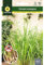 Mascarell Semillas, Citronela (Lemongrass), Semillas para Huerto, Jardín o Macetas, Planta Repelente Natural de Insectos, Planta Protectora de Plagas, Sobre 0,1 Gramos