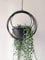 RISEON Boho Gold Metal Plant Hanger,Metal Geometric Hanging Planter, Modern Planter, Mid Century Air Plant Holder Stand, Minimalist Planter for Indoor Outdoor Home Wedding Decor (Black)