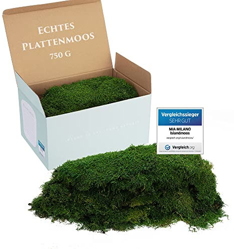 Plattenmoos konserviert dunkelgrün | Deko Wand Moos Platten haltbar | DIY Moosbild selber Machen | 750g Dunkelgrüne Natur Moosmatte lebend in Grün