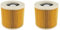 Filtre À Air De Rechange T83C-2X, Compatible Avec Les Aspirateurs Karcher WD2250, WD3.200, MV2, MV3, A2004 Et A2204. Cartouche HEPA.