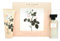 Ted Baker Mia 2-teiliges Geschenkset Eau de Toilette 50 ml – Bodylotion 100 ml