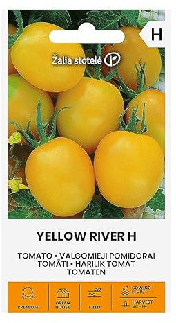 Zalia stotele | TOMATEN YELLOW RIVER H samen | Gemüsesamen | Pflanze samen | Tomatensamen | Gardensamen | Anbau im Freiland oder im Gewächshaus | 1 Pack