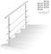 Randaco Rampe d'escalier en acier inoxydable pour l'intérieur et l'extérieur, balustrade pour balcon, parapet, escaliers, entrée de maison, (100 cm, 3 barres transversales)
