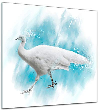 Bilderdepot24 Glasbild Aquarell - Weißer Pfau - 30 x 30 cm - Deko Glas - brilliante Farben, inkl. Aufhängung