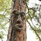 BTMIEY 3D-Baumgesicht, Hofkunst-Dekorationen, lustiger alter Mann, Skulptur, skurriles Baumgesicht, Gartendekoration (B)