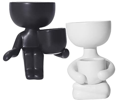 Cabilock 2pièces Pots De Fleurs Céramiques Duo pour Plantes Succulentes Et Cactus Décoration Artistique pour Intérieur