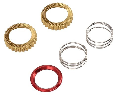 KENANLAN Fahrradnaben Ratschen Set,Ratschen Upgrade Kit DT,60T Stern Ratschenfedern,Ratschen-Naben System Freilauf Reparatur Werkzeug Fahrrad Zubehör Metall Aluminium Legierung