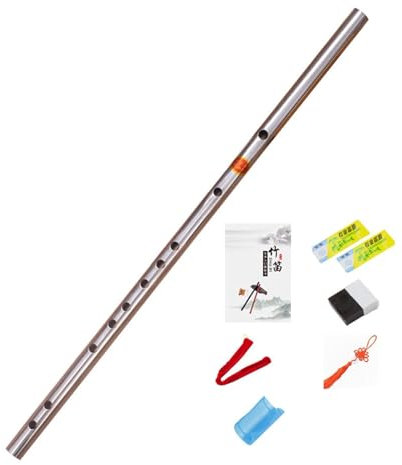 KANLVU Recorde Bausatz Aus Rostfreiem Stahl Sopran Blockflöte Mit Lehrbuch Tasche, Flöte Für Anfänger, Kinder Erwachsene, Schüler Und Studenten(F key)