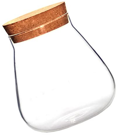 ibasenice Bouteille Décorative en Verre Borosilicate Marron 1 Pièce Contenant Décoratif pour Café Plantes Aériennes Terrariums Aquariums Plantes Artificielles