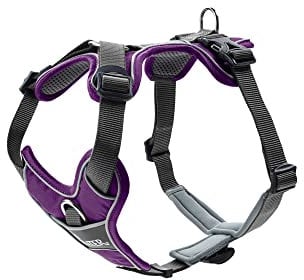 HUNTER DIVO Hundegeschirr, S, 45-56 cm, violett/grau