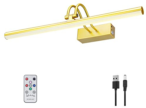 RAIFOOLLY Lampe d'image, 50,8 cm, alimentée par piles, télécommande en métal, lumière artificielle avec minuterie et intensité variable pour peinture murale, cadre, portrait, cible de fléchettes (doré