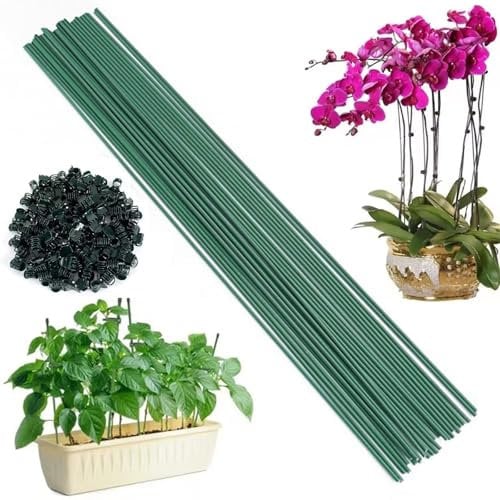 20Pcs Plant Sticks Support, 30CM Single Stem Plant Support Stakes, Garden Plant Sticks Support with 20 Orchid Clips for Peonies Tomatos Rose Plant Climbing