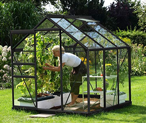 Vitavia Gewächshaus Venus 3800, ESG 3mm, anthrazit