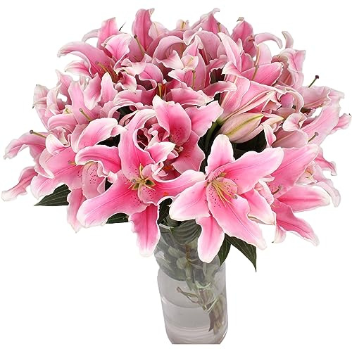 10 Stem Pink Giant Lilies Fresh Cut Flower Bouquet Very Fragrant Gifts for home decoration birthdays anniversaries healing sympathy friendship and love