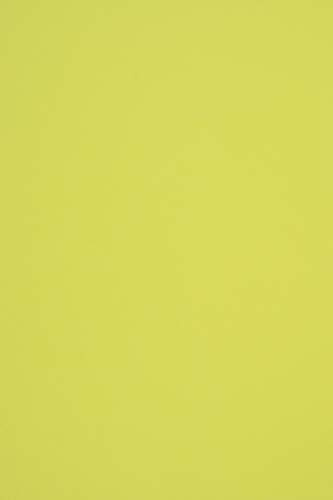Netuno 100x Tonpapier Pistaziengrün DIN A4 21 x 29,7 cm 140g Woodstock Pistacchio buntes Bastelpapier durchgefärbt Farbpapier Recyclingpapier Öko-Papier recyceltes Naturpapier farbig bedruckbar